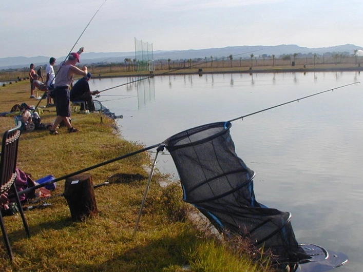 zobacz camping - zdjęcie 16