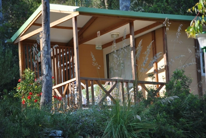 zobacz camping - zdjęcie 24