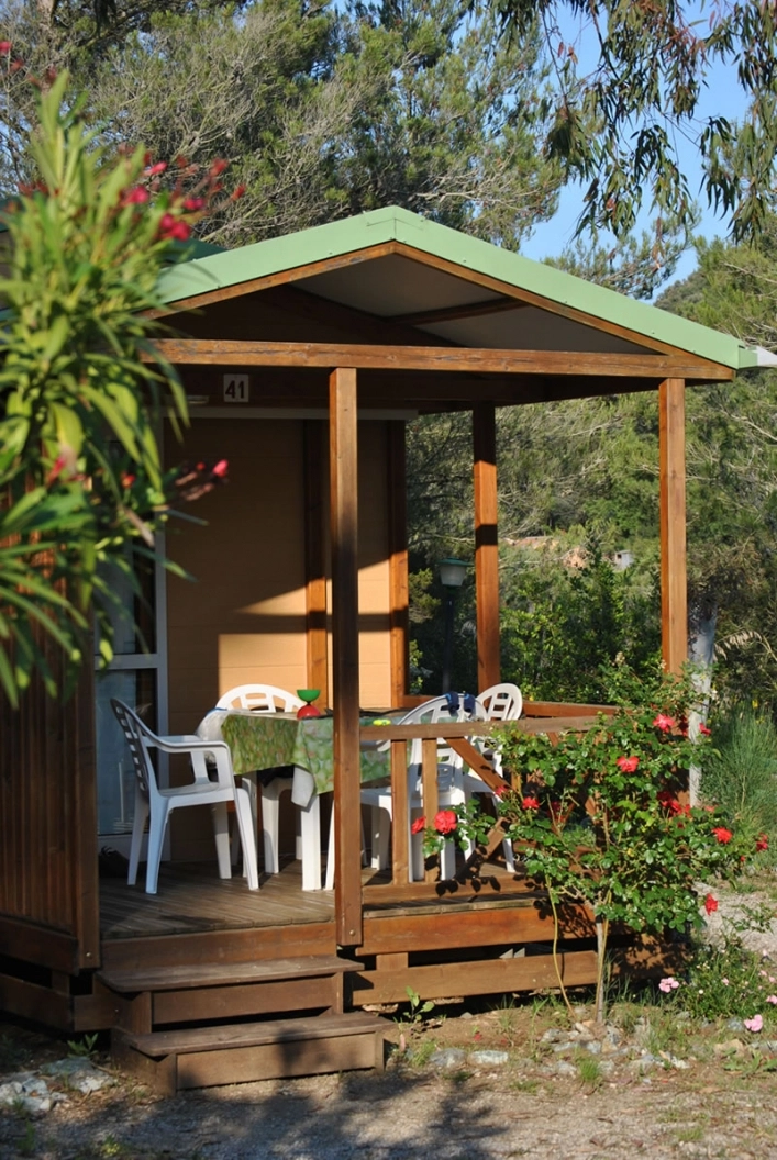 zobacz camping - zdjęcie 15