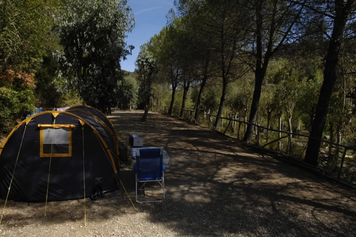 zobacz camping - zdjęcie 14