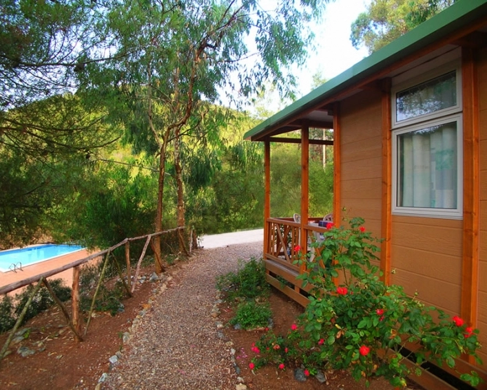 zobacz camping - zdjęcie 9