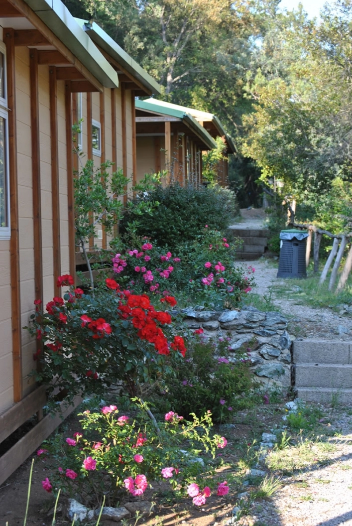 Camping Canapai - zdjęcie 3