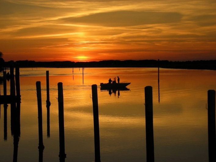 zobacz camping - zdjęcie 16