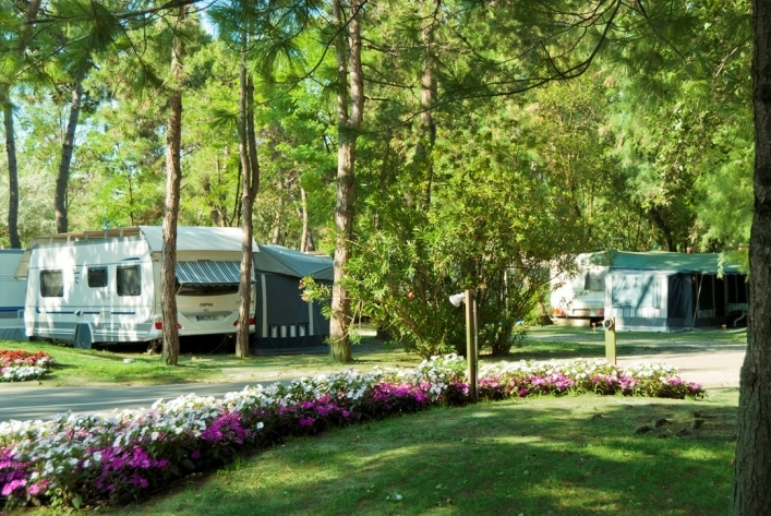 zobacz camping - zdjęcie 15