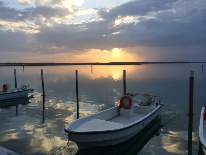 zobacz camping - zdjęcie 10