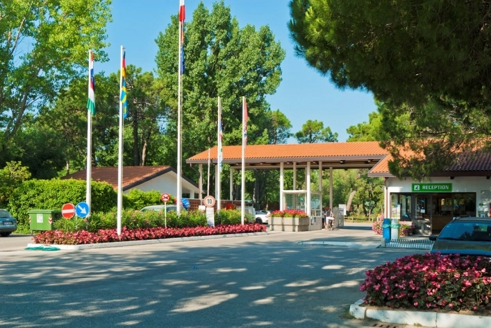 zobacz camping - zdjęcie 2