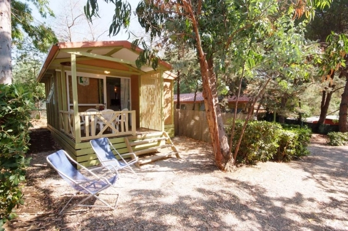 zobacz camping - zdjęcie 15