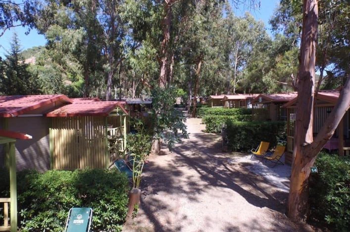 zobacz camping - zdjęcie 14