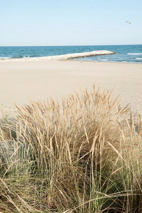 zobacz camping - zdjęcie 26