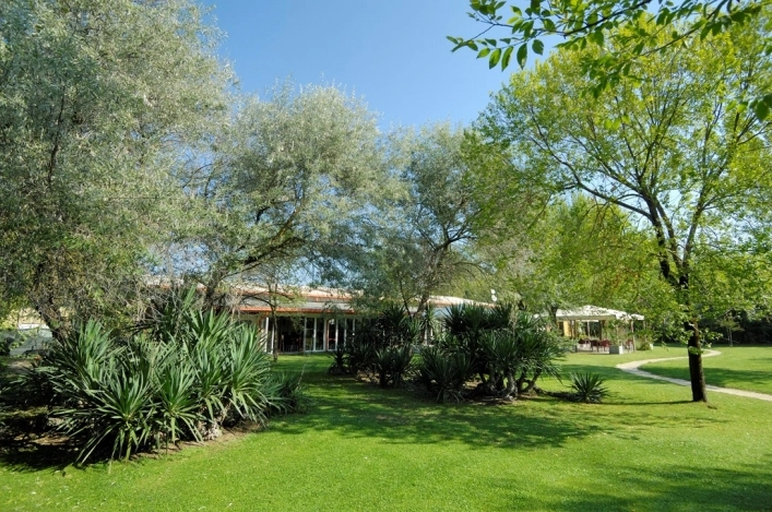 zobacz camping - zdjęcie 16