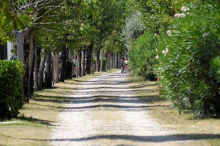 zobacz camping - zdjęcie 15
