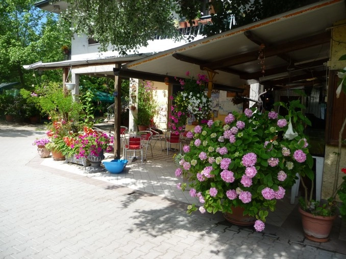 zobacz camping - zdjęcie 13