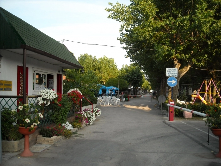 zobacz camping - zdjęcie 6