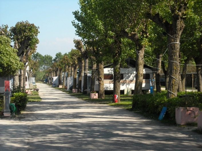 Camping Cesano - zdjęcie 1