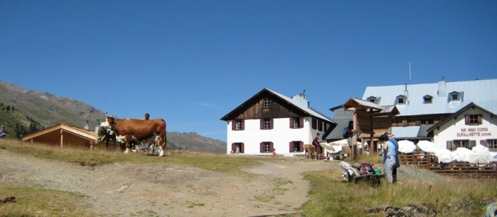 zobacz camping - zdjęcie 12