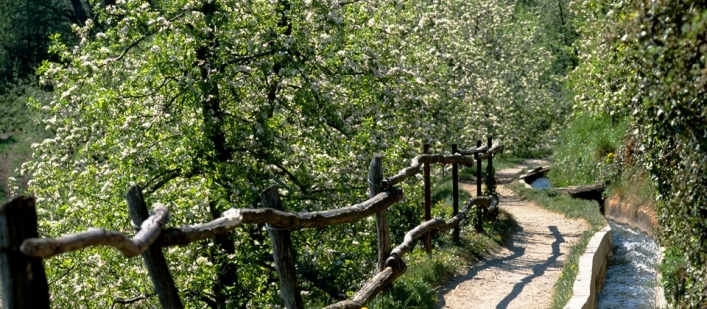 Camping Cevedale - zdjęcie 1