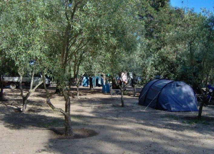 zobacz camping - zdjęcie 9