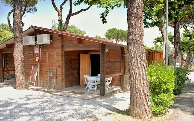 zobacz camping - zdjęcie 10