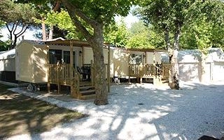 Camping Citta` di Massa - zdjęcie 3