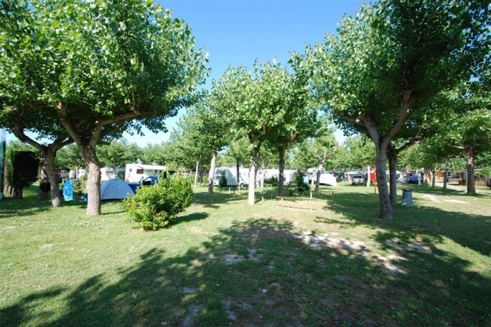 zobacz camping - zdjęcie 18