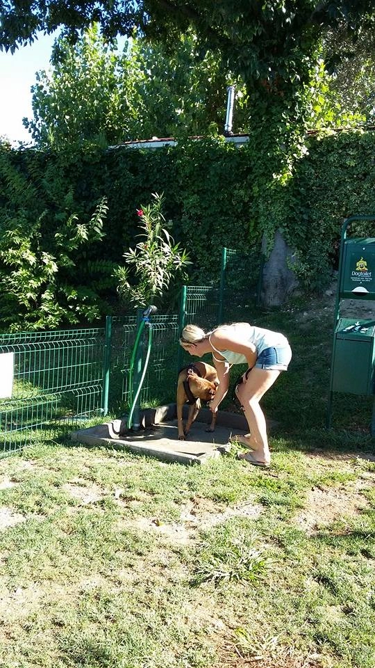 zobacz camping - zdjęcie 40