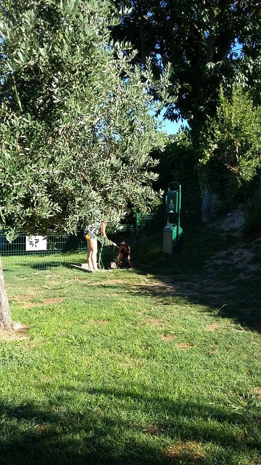 zobacz camping - zdjęcie 36