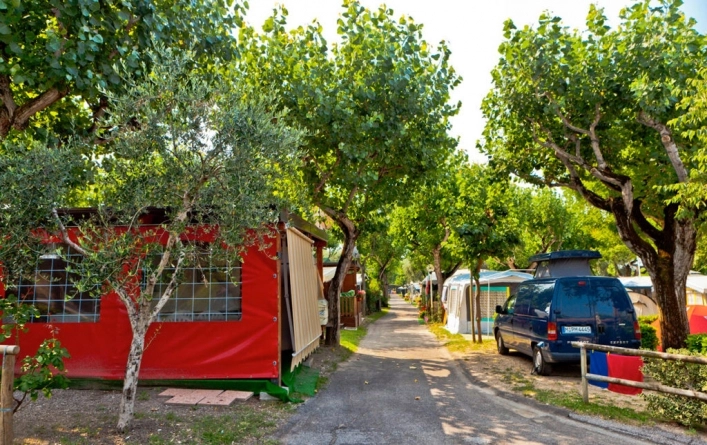 zobacz camping - zdjęcie 14