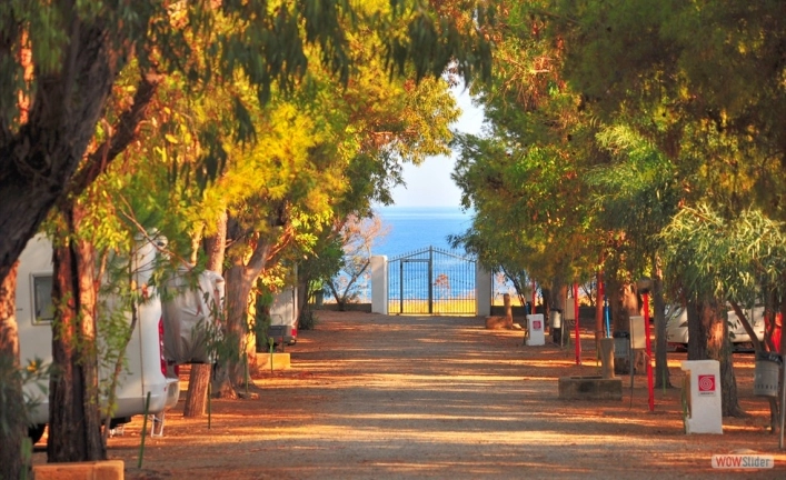 zobacz camping - zdjęcie 9