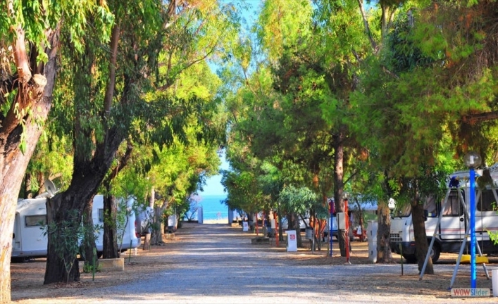 zobacz camping - zdjęcie 6