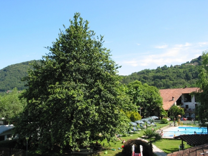 zobacz camping - zdjęcie 9