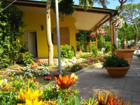 zobacz camping - zdjęcie 11