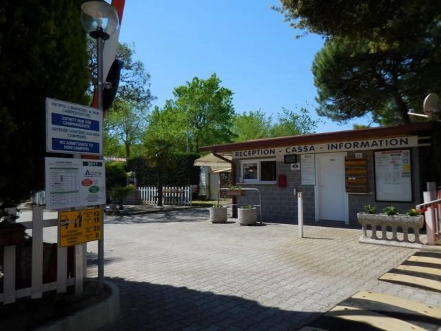 zobacz camping - zdjęcie 16