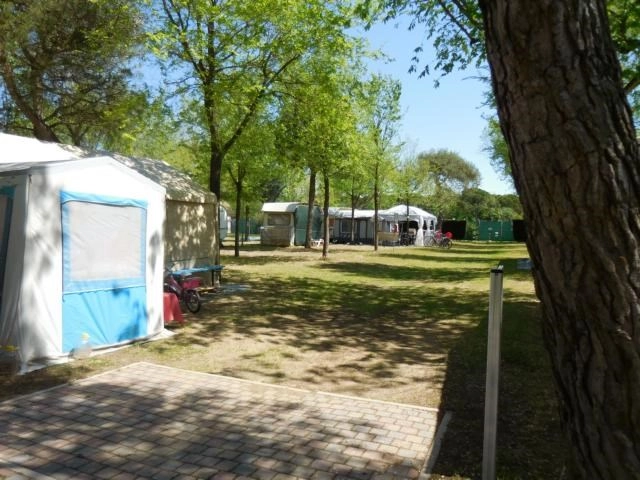 zobacz camping - zdjęcie 10