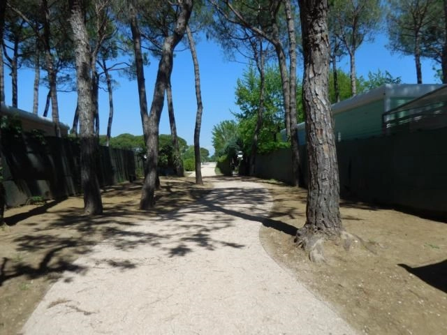 zobacz camping - zdjęcie 6