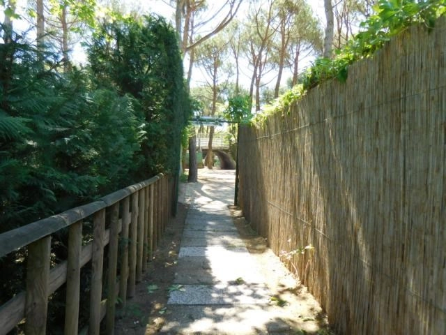 Camping Darisi - zdjęcie 2