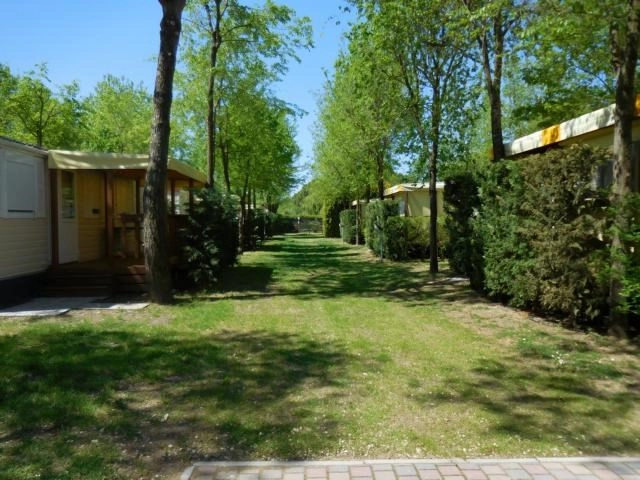 Camping Darisi - zdjęcie 1