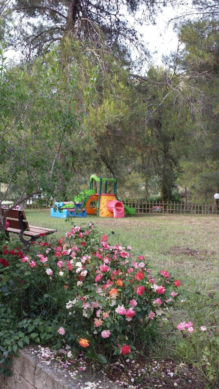 zobacz camping - zdjęcie 14