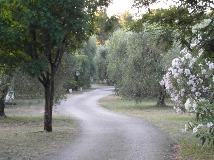 zobacz camping - zdjęcie 5