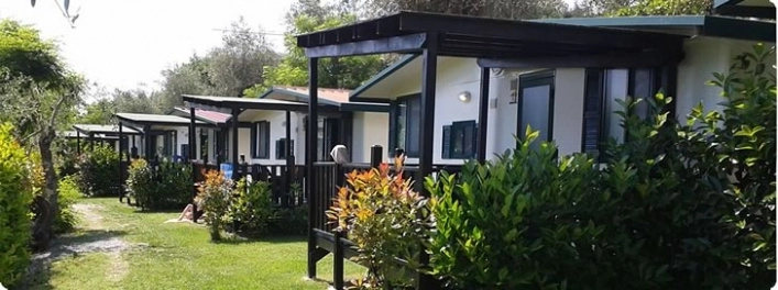 zobacz camping - zdjęcie 10