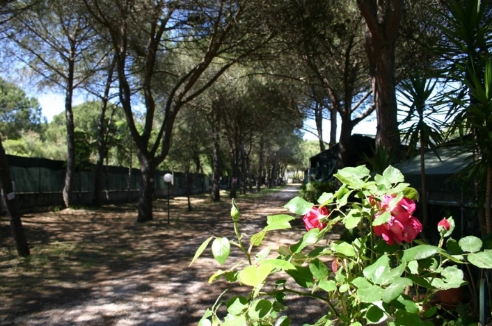 zobacz camping - zdjęcie 33