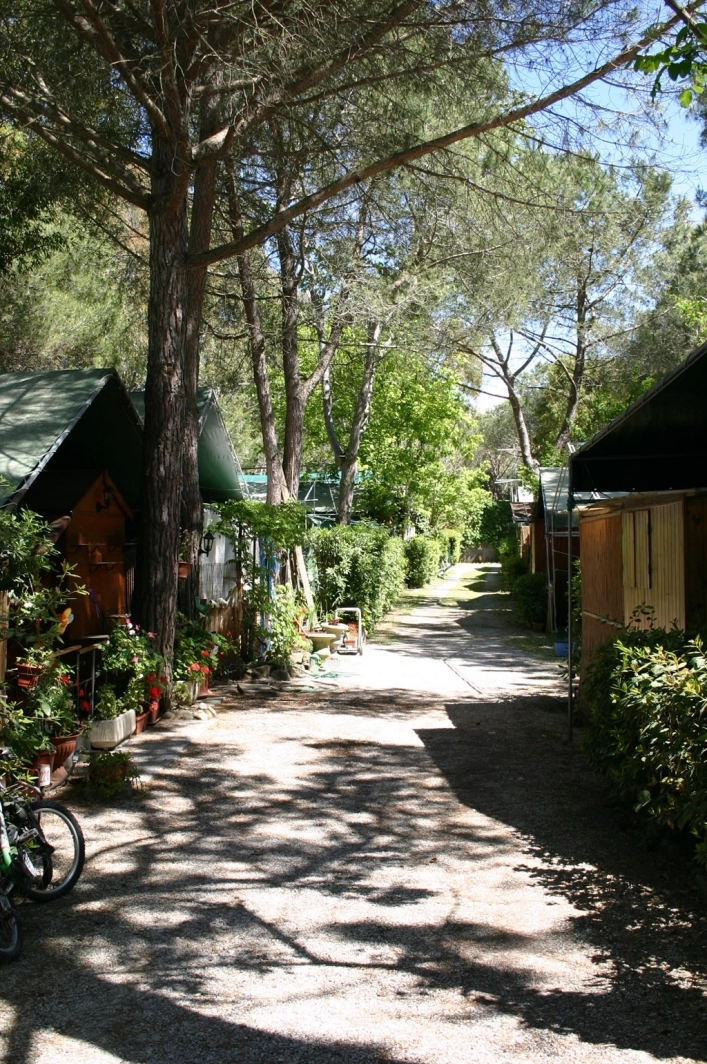 zobacz camping - zdjęcie 32