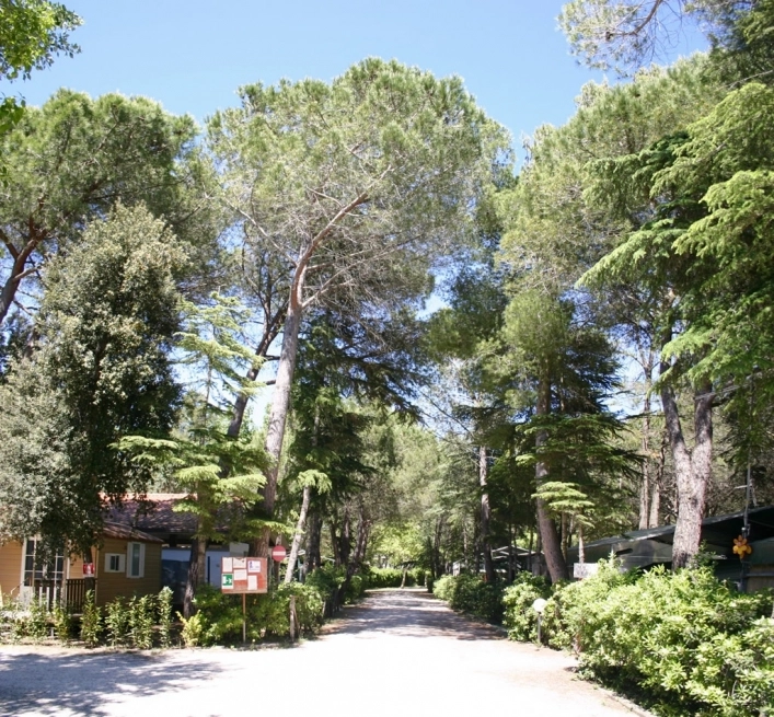 zobacz camping - zdjęcie 31