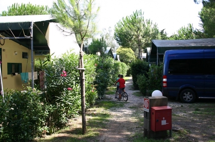 zobacz camping - zdjęcie 28