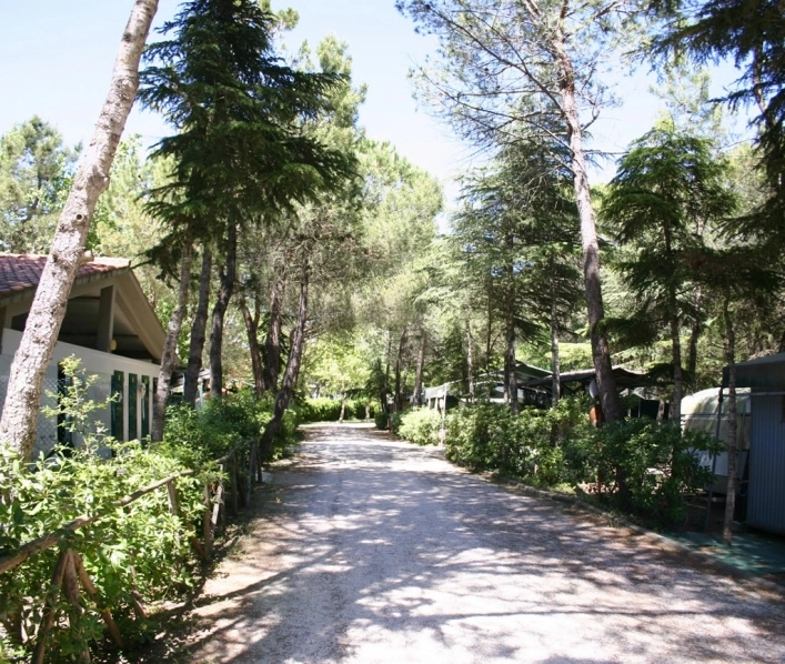 zobacz camping - zdjęcie 26