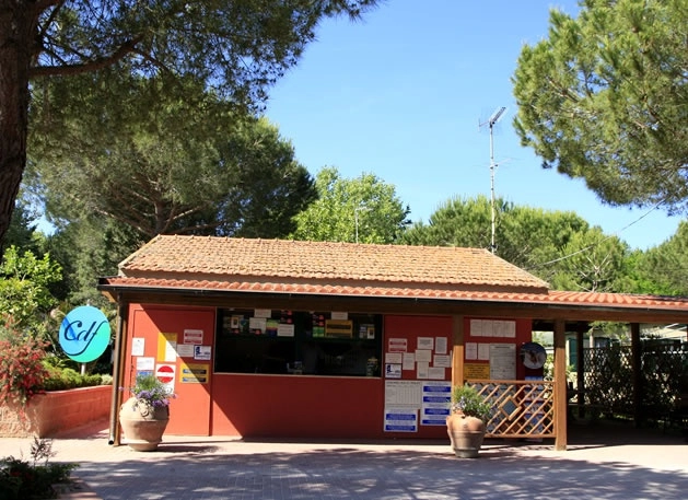 zobacz camping - zdjęcie 24