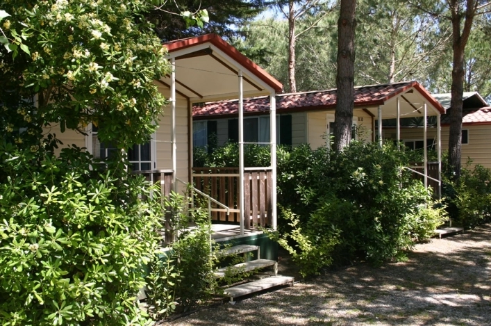 zobacz camping - zdjęcie 23