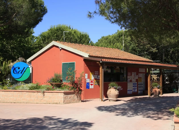 zobacz camping - zdjęcie 21