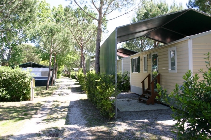 zobacz camping - zdjęcie 17