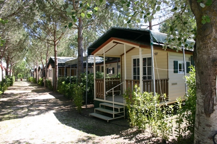 zobacz camping - zdjęcie 13