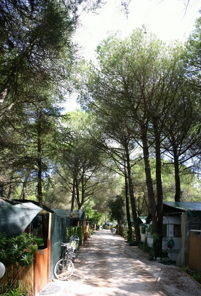 zobacz camping - zdjęcie 12